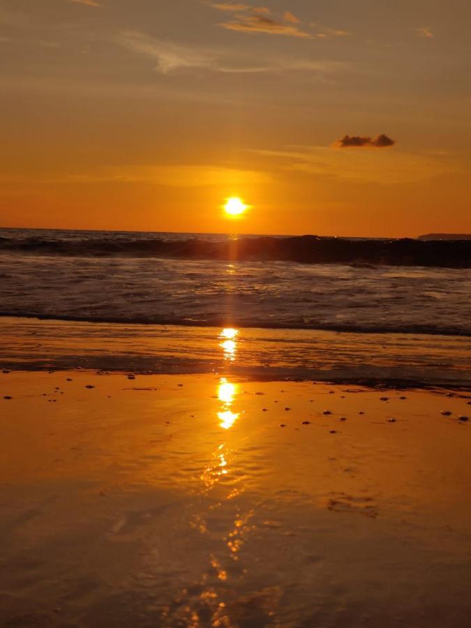 Cabinas Pura Vida B&B Tour Operator Drakes Bay Dış mekan fotoğraf