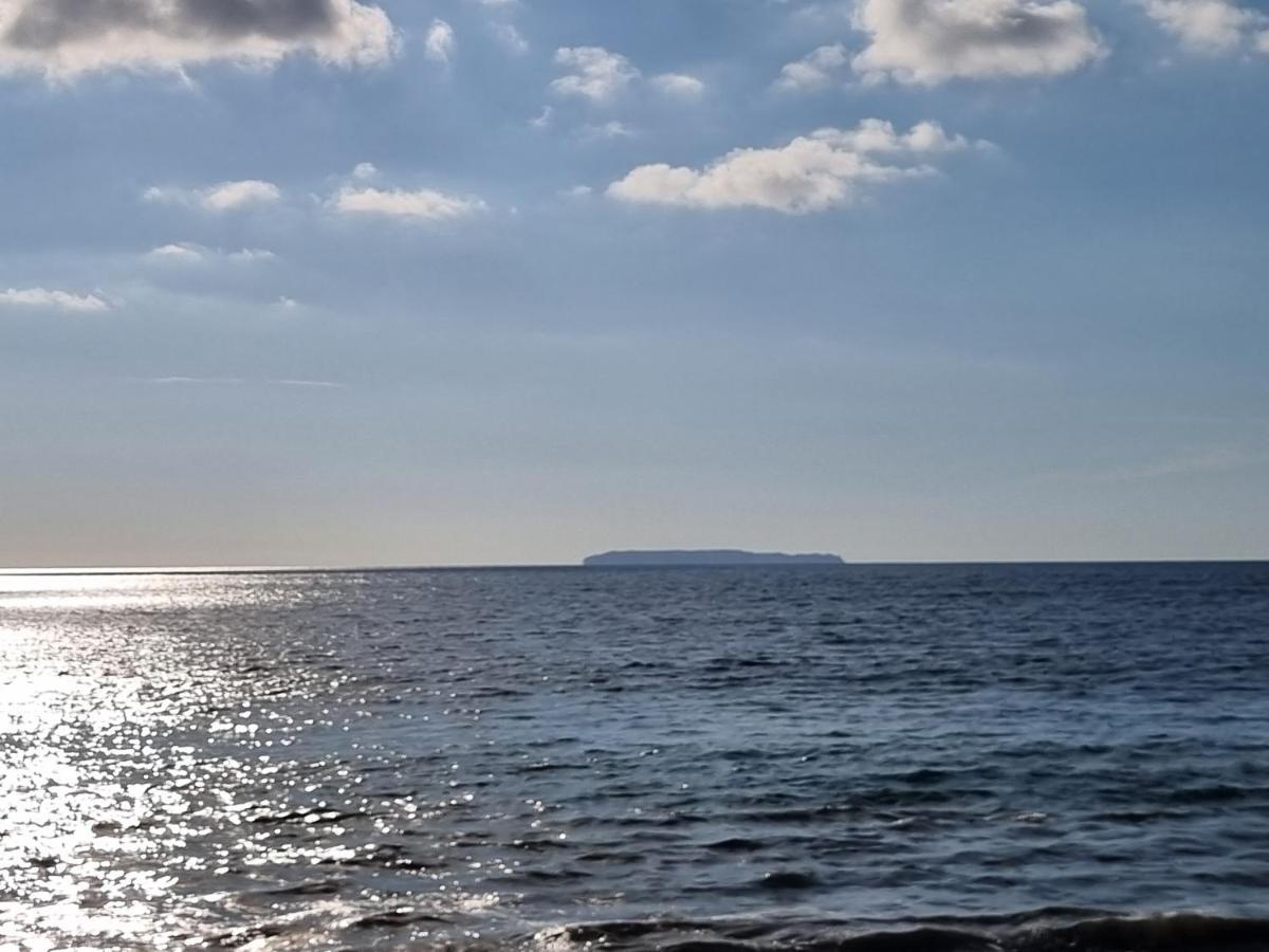 Cabinas Pura Vida B&B Tour Operator Drakes Bay Dış mekan fotoğraf
