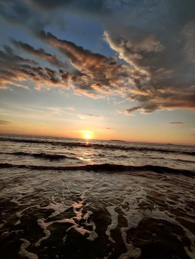Cabinas Pura Vida B&B Tour Operator Drakes Bay Dış mekan fotoğraf